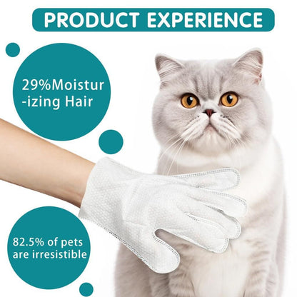 6Pcs Disposable  Pet Cleaning Gloves