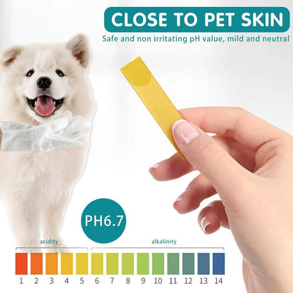 6Pcs Disposable  Pet Cleaning Gloves